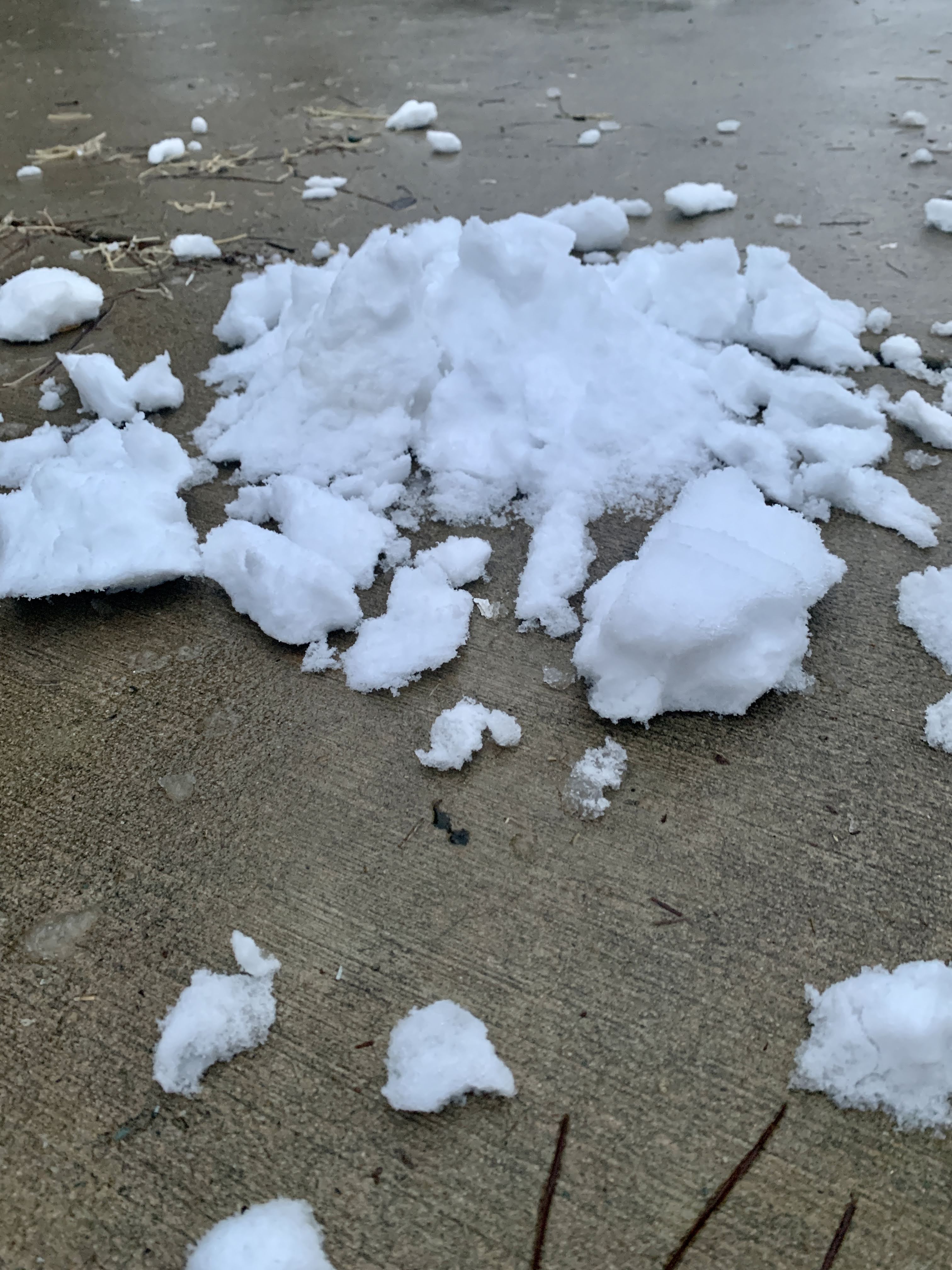 Snow Day